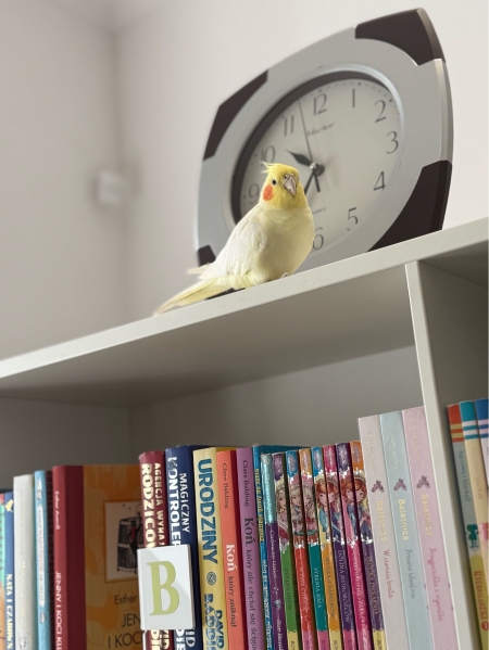 Kolejna wizyta w bibliotece