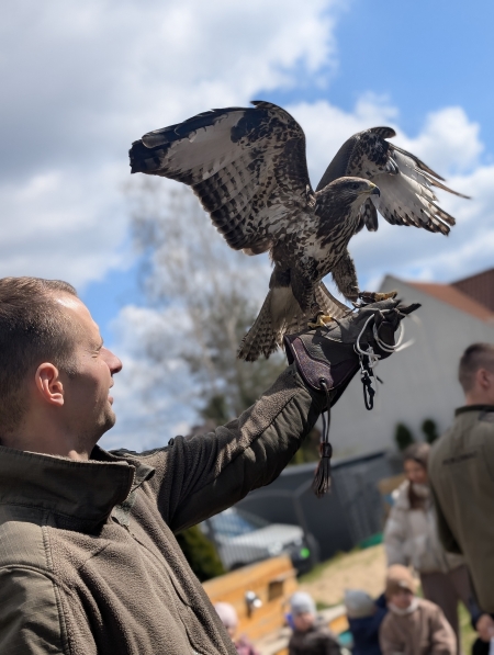 Warsztaty z sokolnikami 